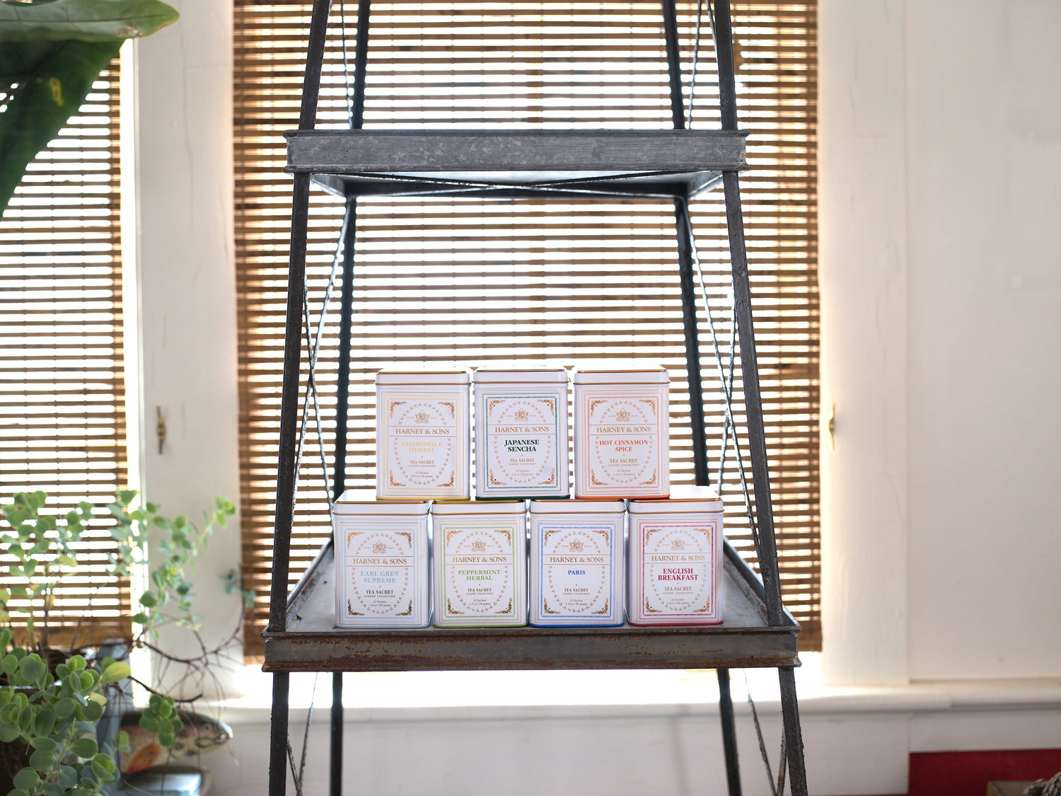 Harney & Sons Classic Collection: Timeless Teas You'll Always Love